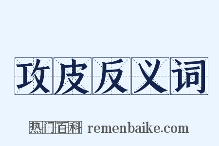 攻皮反义词是什么意思的图片